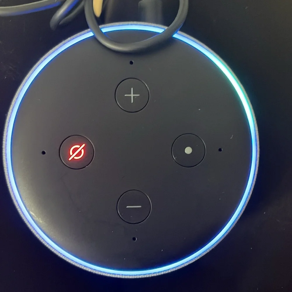 Amazon Alexa Echo Dot D9N29T W/ Power Adapter Tested Working